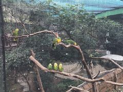 -九龙公园
