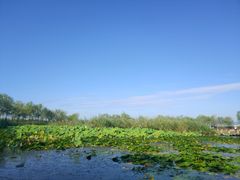 -绿堤公园