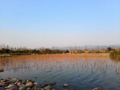 -西昌邛海湿地