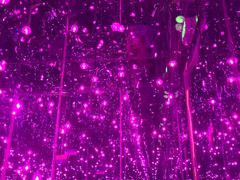 -杭州西湖星空魔幻城(星空艺术馆品牌旗舰店)