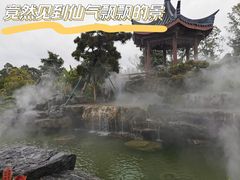 -东莞植物园