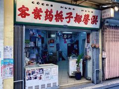-洪馨椰子