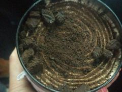 -CAKE BOSS 蛋糕老板(西单君太百货店)