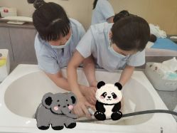 -安琪朵朵独栋花园月子中心