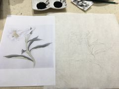 -谷隆画舍·国画书法素描彩铅水彩