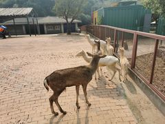 -无锡动物园·太湖欢乐园