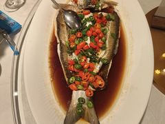 -天福苑(崇宁路店)