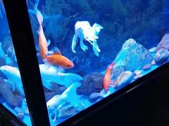 -宜昌富力皇冠假日酒店·咖啡1号西餐厅