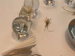 -九献创意菜·新中式(亮马河花园私宴店)