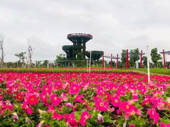 -芒洲湿地公园