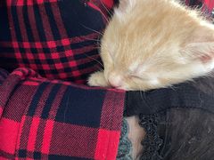 -瑞鹏宠物医院·爱宠堂(环西分院)