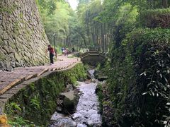 -莫干山风景区
