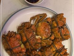 -杨氏青龙虾·羊蝎子(托乐嘉店)