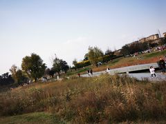 -两河城市森林公园