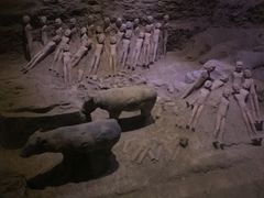-汉景帝阳陵博物院