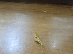 -端仕小锅(文林街店)