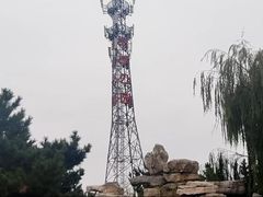 -羊亭河湿地公园