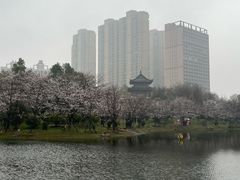 -堤角公园