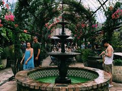 -The Grounds of Alexandria