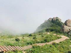 -白草畔自然风景区