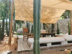 -MOJ coffee(瓯海泽雅水碓坑店)