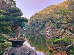 -南山植物园