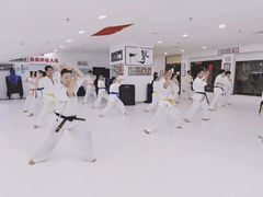 -极真空手道修远道场