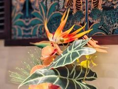 -金链花·泰国餐厅(国贸店)