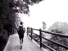 -少华山国家森林公园