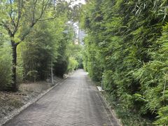 -圣廷苑酒店-世纪楼菲苑自助餐厅