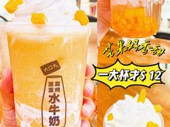 -大口九(东方广场店)