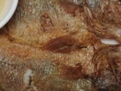 干煎黄花鱼-快活林食家