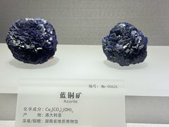 -湖南省地质博物馆