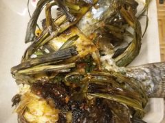 -多哥水傣味餐厅(司马巷店)