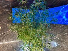 -华夏良子·足道SPA艾灸(图书大厦店)