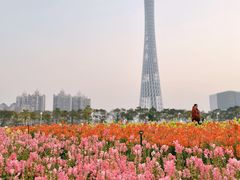 -海心沙亚运公园