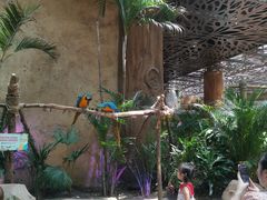 -杭州开元森泊度假乐园