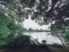 -无锡蠡湖国家湿地公园-蠡园