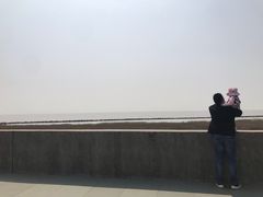 -南汇嘴观海公园