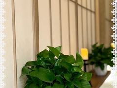 -宫七SPA·高端Massage(浦东大道店)