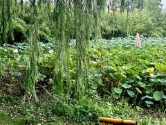 -百翠山居.家飨餐厅