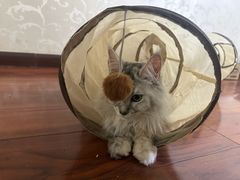 -观音桥步行街