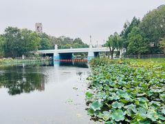 -新江湾城公园