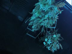 -黑桃K生日订制KTV