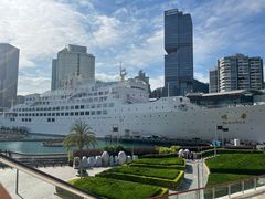 -润园四季椰子鸡火锅(海上世界店)