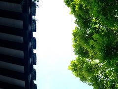 -绮园景区