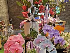 -豆豆花艺(新光天地店)