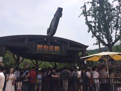 -环球动漫嬉戏谷
