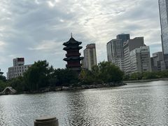 -迎泽公园