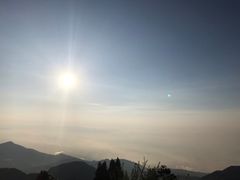 -武陵山森林公园